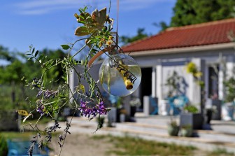 La terre brûlée, Chambre d'hôtes dans le Gard